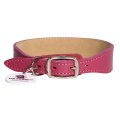 Mr.Kranch / Ошейник Мистер Кранч для собак из Натуральной кожи с QR-адресником Малиновый
