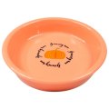 Mr.Kranch / Миска керамическая для кошек Тыква Персиковая
