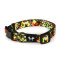 United Pets Complete me / Ошейник Юнайтед Петс для собак разноцветный рисунок