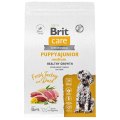 Brit Care Puppy & Junior Medium Healthy Growth Turkey Duck / Сухой корм Брит для Щенков Средних пород Индейка Утка