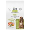 Brit Care Adult Medium Healthy Skin & Shiny Coat Salmon Turkey / Сухой корм Брит для взрослых собак Средних пород Здоровая Кожа и Шерсть Лосось Индейка