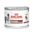 Royal Canin Recovery Canine / Ветеринарный влажный корм (Консервы) Роял Канин Рекавери для собак и кошек Анорексия Восстановление Кормление через зонд (Цена за упаковку)