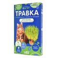 4 с хвостиком Травка для кошек и других домашних питомцев лоток