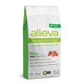 Alleva Equilibrium Adult Medium Maxi Sensitive Lamb&Ocean Fish / Сухой корм Аллева для собак Средних и Крупных пород Ягненок Океаническая рыба