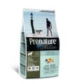 Pronature Holistic / Сухой корм Пронатюр Холистик для собак для кожи и шерсти Лосось с рисом