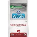 Farmina Vet Life Gastrointestinal / Лечебный корм Фармина для кошек при Нарушениях пищеварения