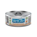 Farmina VetLife Convalescence / Диета Фармина для кошек Паштет в период Восстановления (цена за упаковку)