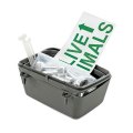 MPS Travel Kit Skudo 4-5-6-7 / МПС набор Кормушка Болты Стикер для переносок