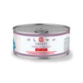 Solid Natura Vet Diet Obesity / Ветеринарный влажный корм (консервы) Солид Натура для кошек для снижения и контроля избыточной массы тела (цена за упаковку)