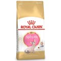 Royal Canin Breed cat Kitten Sphynx / Сухой корм Роял Канин для Котят породы Сфинкс в возрасте до 12 месяцев