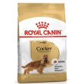 Royal Canin Breed dog Cocker Adult / Сухой корм Роял Канин для взрослых собак породы Кокер Спаниель старше 1 года
