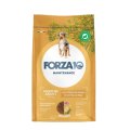 Forza10 Maintenance Medium Chicken Potatoes / Сухой корм Форза для взрослых собак средних пород из Курицы с картофелем