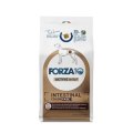 Forza10 Active Intestinal Colon Fase 1 / Сухой Ветеринарный корм Форза для взрослых собак с Хроническими колитами с Рыбой