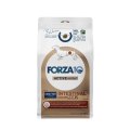 Forza10 Active Mini Toy Intestinal Colone Fase2 / Сухой Ветеринарный корм Форза для взрослых собак Мелких пород Профилактика колитов с Рыбой