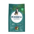 Forza10 Maintenance Maxi Adult / Сухой корм Форза для взрослых собак Крупных пород с Олениной и картофелем