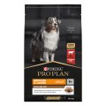 PRO PLAN DUO DELICE / Сухой корм ПРО ПЛАН для взрослых собак средних и крупных пород с говядиной