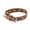 Homepet / Ошейник Хоумпет для собак Кожаный с украшениями простроченный Коричневый