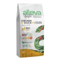 Alleva Holistic Adult Medium Chicken Duck & Aloe vera Ginseng / Сухой корм Аллева для собак Средних пород Курица Утка Алоэ вера Женьшень