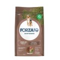 Forza10 Maintenance Medium Adult / Сухой корм Форза для взрослых собак Средних пород с Ягненком и рисом