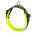 ferplast Ошейник ERGOFLUO C15/42 ferplast Ошейник ERGOFLUO C15/42