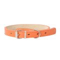 Mr.Kranch / Ошейник Мистер Кранч для собак из Натуральной кожи Прямой Оранжевый