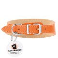 Mr.Kranch / Ошейник-cеледка Мистер Кранч для собак из Натуральной кожи с QR-адресником Оранжевый