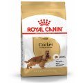 Royal Canin Breed dog Cocker Adult / Сухой корм Роял Канин для взрослых собак породы Кокер Спаниель старше 1 года Royal Canin Breed dog Cocker Adult / Сухой корм Роял Канин для взрослых собак породы Кокер Спаниель старше 1 года