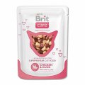 Brit Care Chicken & Duck / Паучи Брит для кошек Курица и утка (цена за упаковку) Brit Care Chicken & Duck / Паучи Брит для кошек Курица и утка (цена за упаковку)