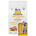 Brit Care Puppy & Junior Medium Healthy Growth Turkey Duck / Сухой корм Брит для Щенков Средних пород Индейка Утка