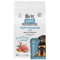 Brit Care Puppy & Junior Large Healthy Growth Turkey Lamb / Сухой корм Брит для Щенков Крупных пород Индейка Ягненок