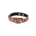 Homepet / Ошейник Хоумпет для собак Кожаный с Язычком на фетре простроченный Коричневый