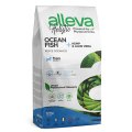 Alleva Holistic Puppy Medium Ocean Fish & Hemp Aloe vera / Сухой корм Аллева для Щенков Средних пород Океаническая рыба Алоэ вера Конопля Alleva Holistic Puppy Medium Ocean Fish & Hemp Aloe vera / Сухой корм Аллева для Щенков Средних пород Океаническая рыба Алоэ вера Конопля