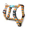 Max & Molly / Н-образная шлейка Макс и Молли для собак Летнее время