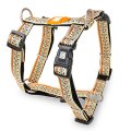 Max & Molly / Н-образная шлейка Макс и Молли для собак Этнический