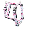 Max & Molly / Н-образная шлейка Макс и Молли для собак Сакура