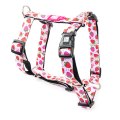 Max & Molly / Н-образная шлейка Макс и Молли для собак Клубничные мечты