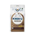 Forza10 Active VetDiet Intestinal Colone Fase1 / Сухой Ветеринарный корм Форза для взрослых собак всех пород Лечение колитов с Яненком