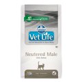 Farmina Vet Life Neutered Male / Лечебный корм Фармина для Кастрированных котов