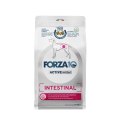 Forza10 Active VetDiet Intestinal / Сухой Ветеринарный корм Форза для собак при заболеваниях ЖКТ