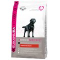 Eukanuba Labrador Retriever / Сухой корм Эукануба для взрослых собак породы Лабрадор