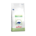 Royal Canin Queen / Сухой корм Роял Канин Квин для кошек в Период беременности и лактации