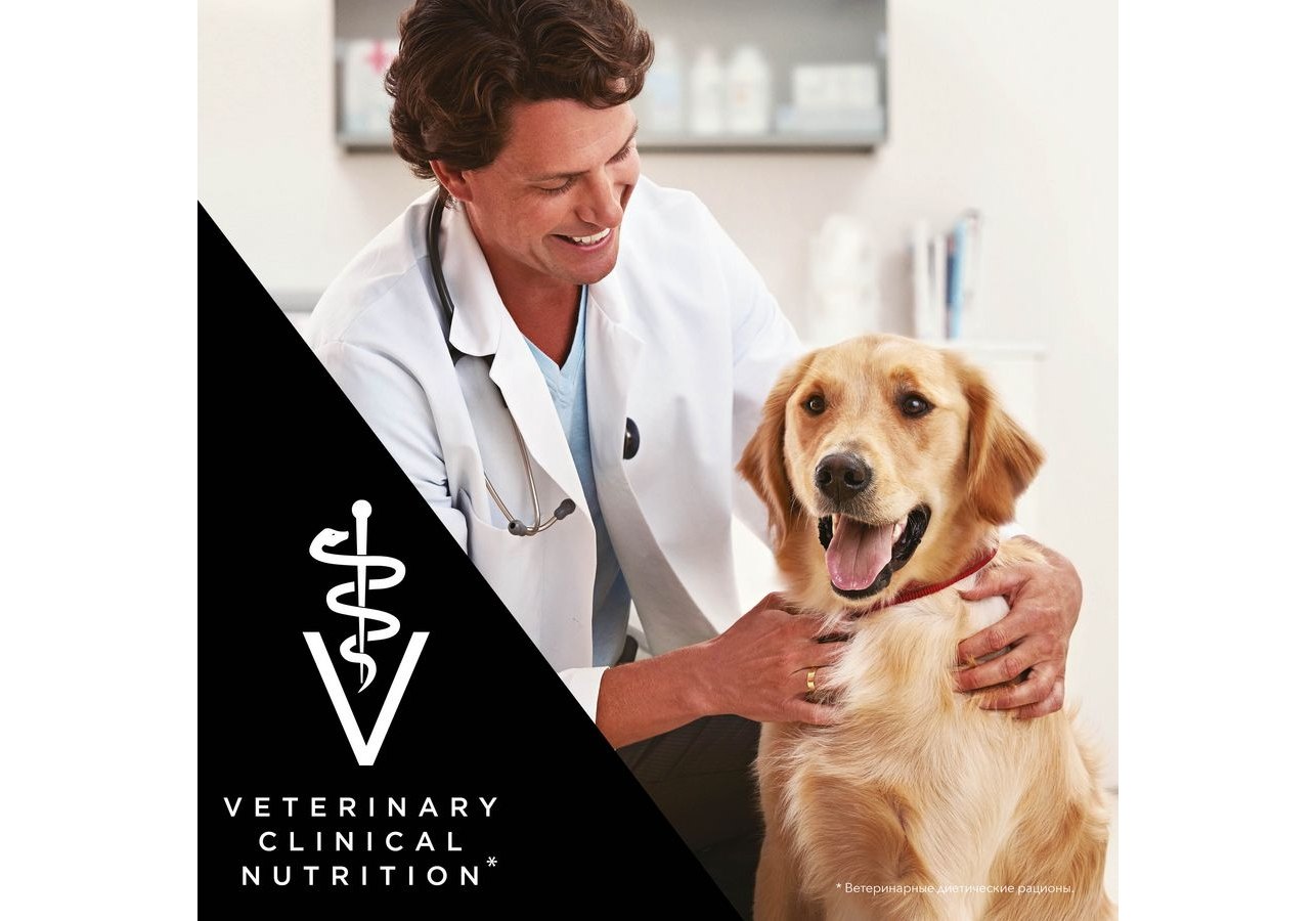 PRO PLAN VETERINARY DIETS DRM DERMATOSIS / Сухой корм ПРО ПЛАН Ветеринарная  диета для взрослых собак при дерматозах и выпадении шерсти 12 кг купить в  Москве по низкой цене 15 670₽ | интернет-магазин ZooMag.ru