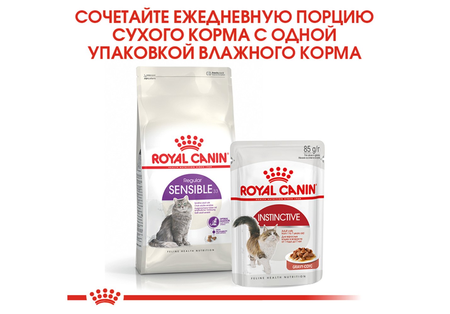 Royal Canin Sensible / Сухой корм Роял Канин Сенсибл для кошек с  Чувствительным пищеварением 400 г купить в Москве по низкой цене 420₽ |  интернет-магазин ZooMag.ru