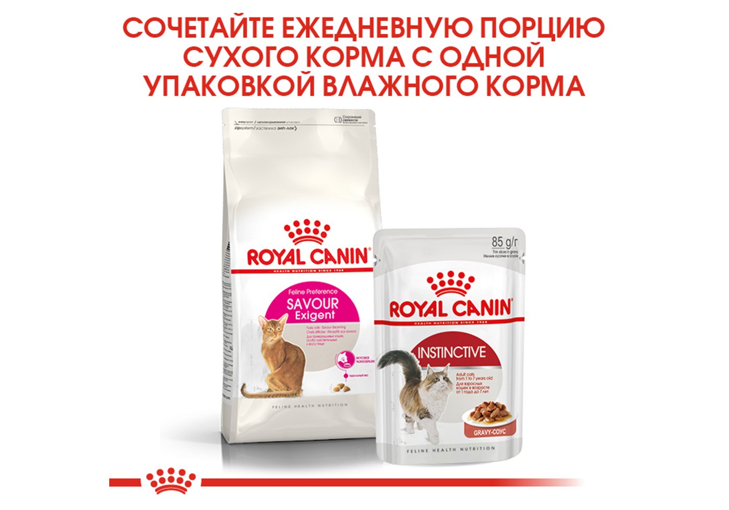 Royal Canin Exigent Savoir Sensation / Сухой корм Роял Канин Эксиджент для  кошек Привередливых к вкусу 4 кг купить в Москве по низкой цене 4 451₽ |  интернет-магазин ZooMag.ru