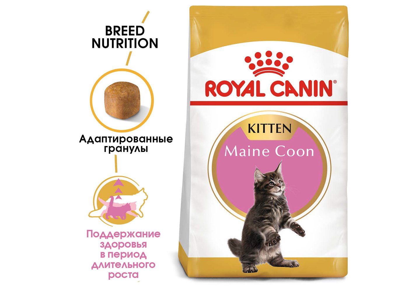 Royal Canin Breed cat Kitten Maine Coon / Сухой корм Роял Канин для Котят  породы Мэйн Кун в возрасте до 15 месяцев 400 г купить в Москве по низкой  цене 558₽ | интернет-магазин ZooMag.ru