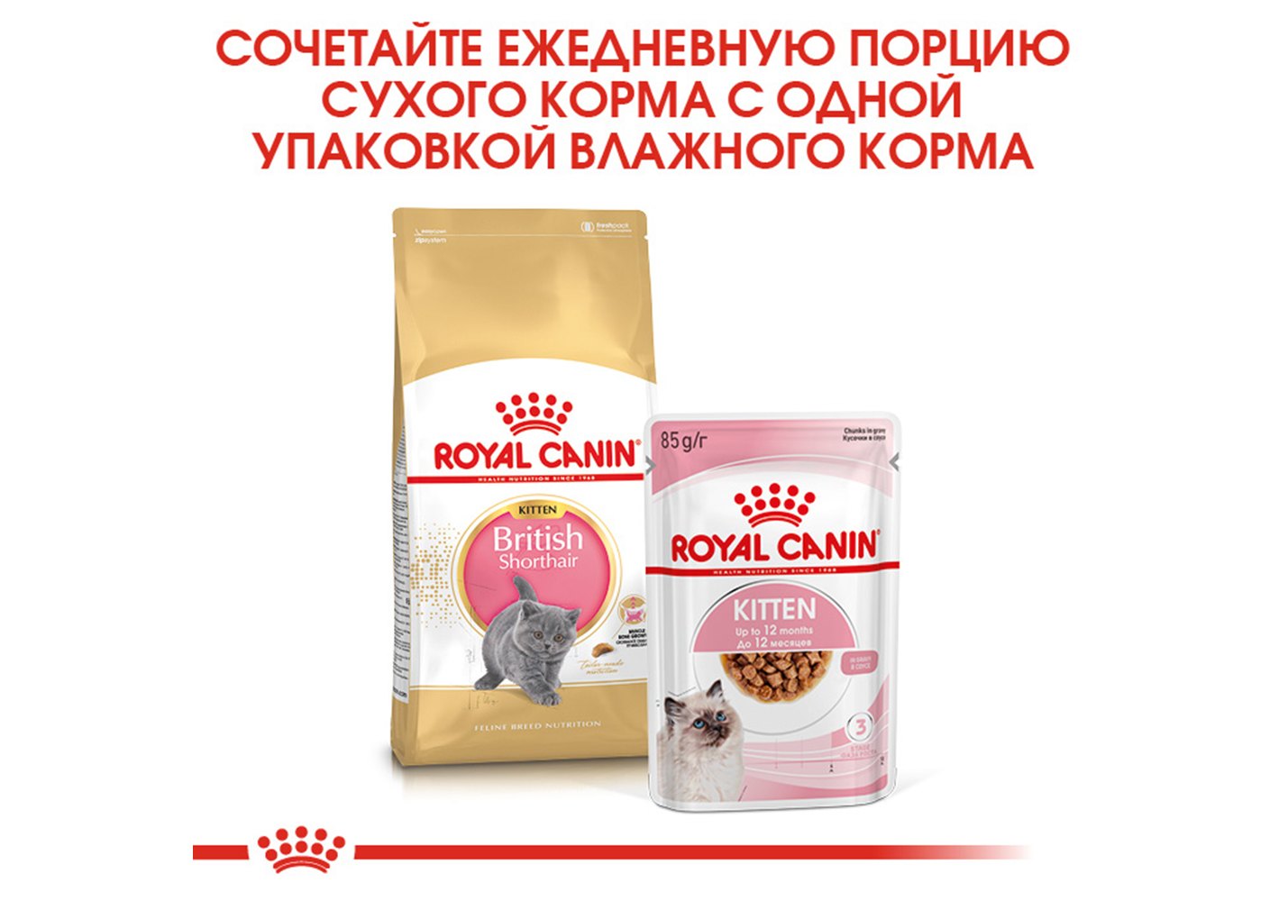 Royal Canin Breed cat Kitten British Shorthair / Сухой корм Роял Канин для  Котят породы Британская короткошерстная в возрасте от 4 до 12 месяцев 400 г  купить в Москве по низкой цене