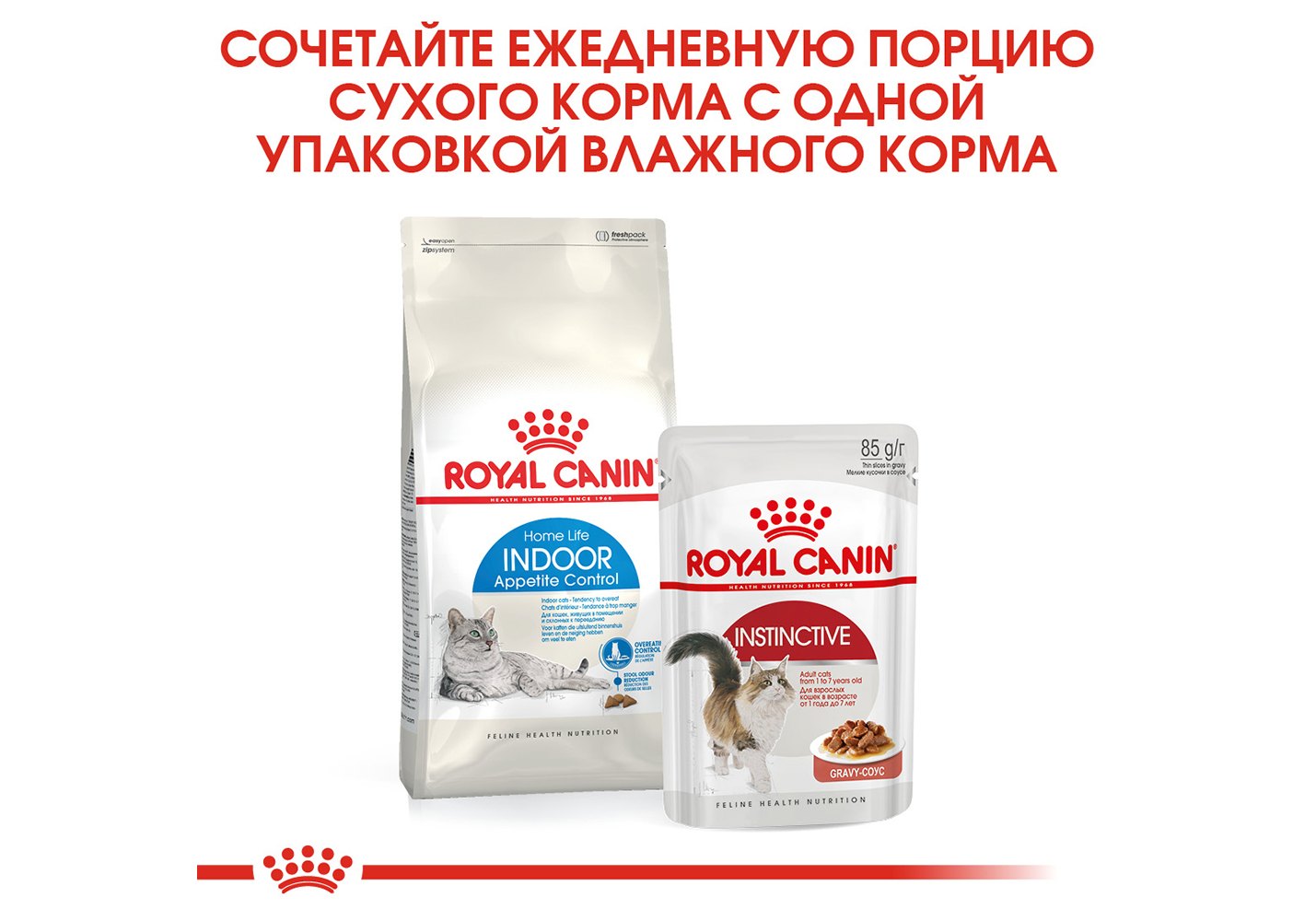 Royal Canin Indoor Appetite Control / Сухой корм Роял Канин Индор Аппетит  Контрол для кошек Живущих в помещении и склонных к перееданию 2 кг купить в  Москве по низкой цене 2 305₽ |