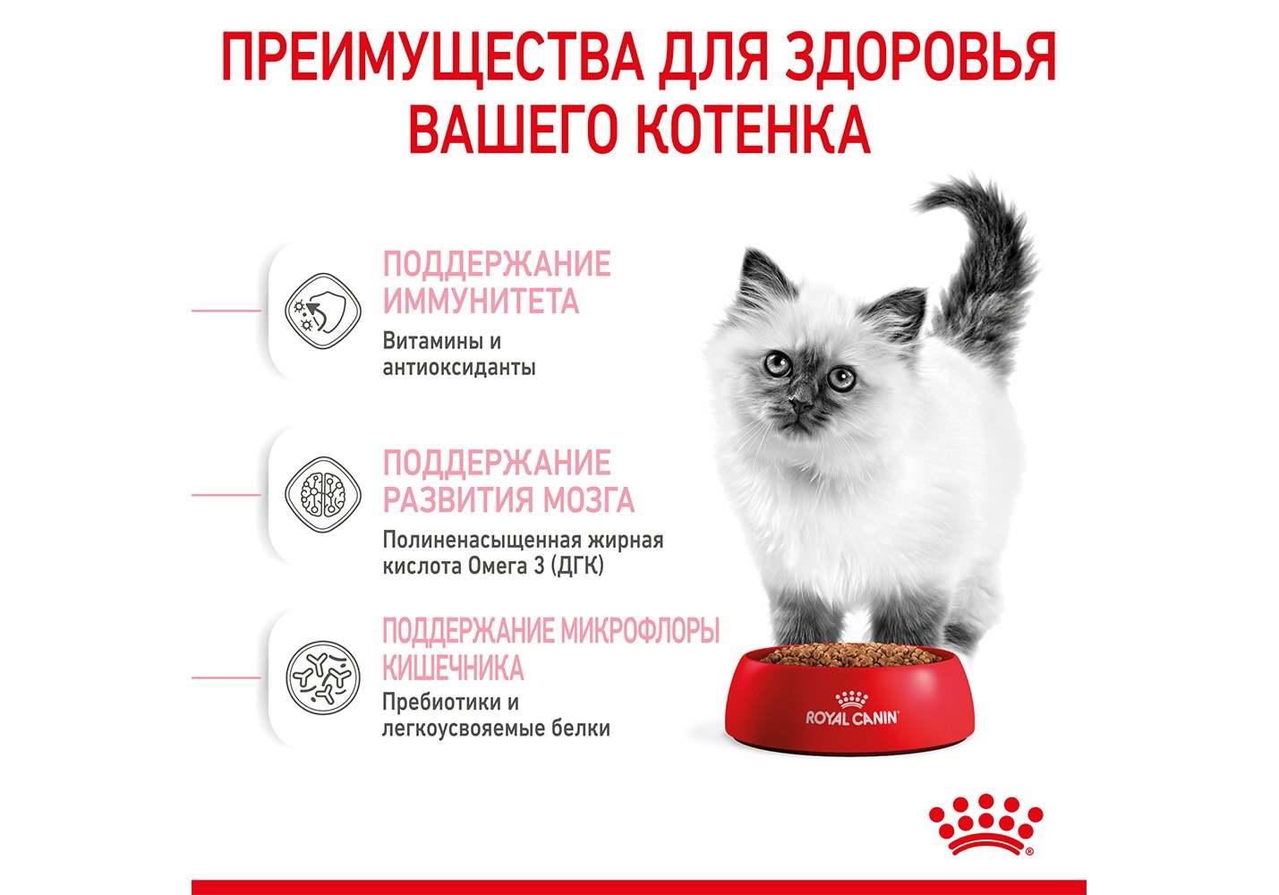 Royal Canin Kitten Instinctive / Влажный корм (Консервы-Паучи) Роял Канин  Киттен Инстинктив для Котят в возрасте от 4 до 12 месяцев в Соусе (цена за  упаковку) 85г x 24шт купить в Москве