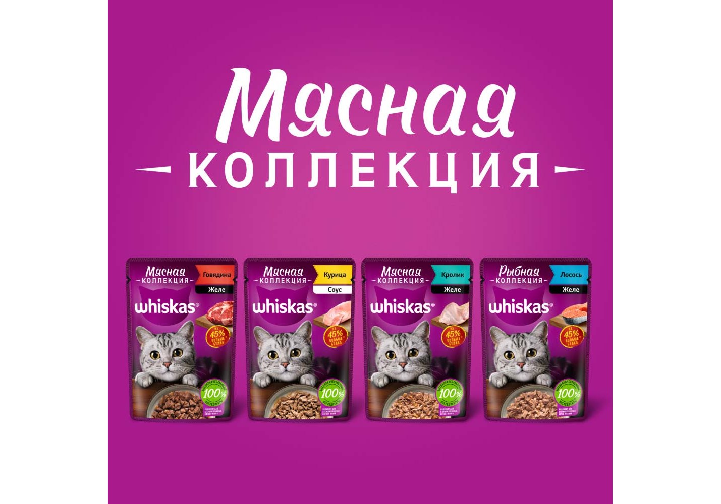 Whiskas Мясная коллекция / Паучи Вискас для взрослых кошек Говядина желе  (цена за упаковку) 75г х 28шт купить в Москве по низкой цене 850₽ |  интернет-магазин ZooMag.ru