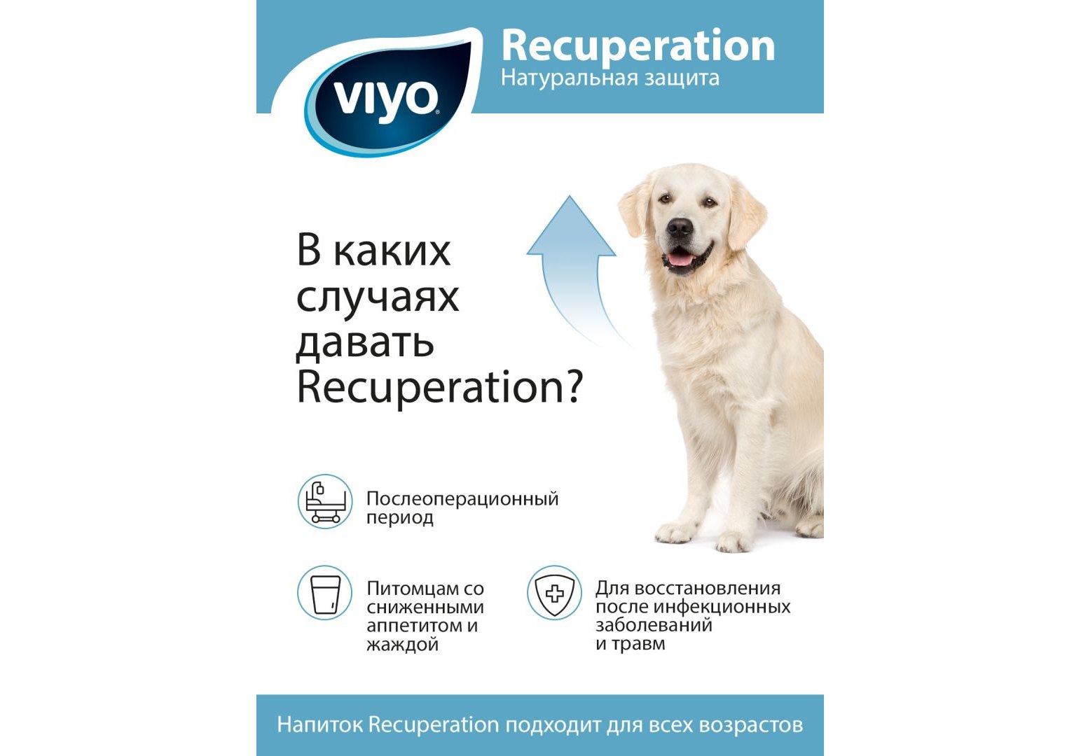 VIYO Recuperation / Питательный напиток Вийо для собак всех возрастов 150  мл купить в Москве по низкой цене 920₽ | интернет-магазин ZooMag.ru